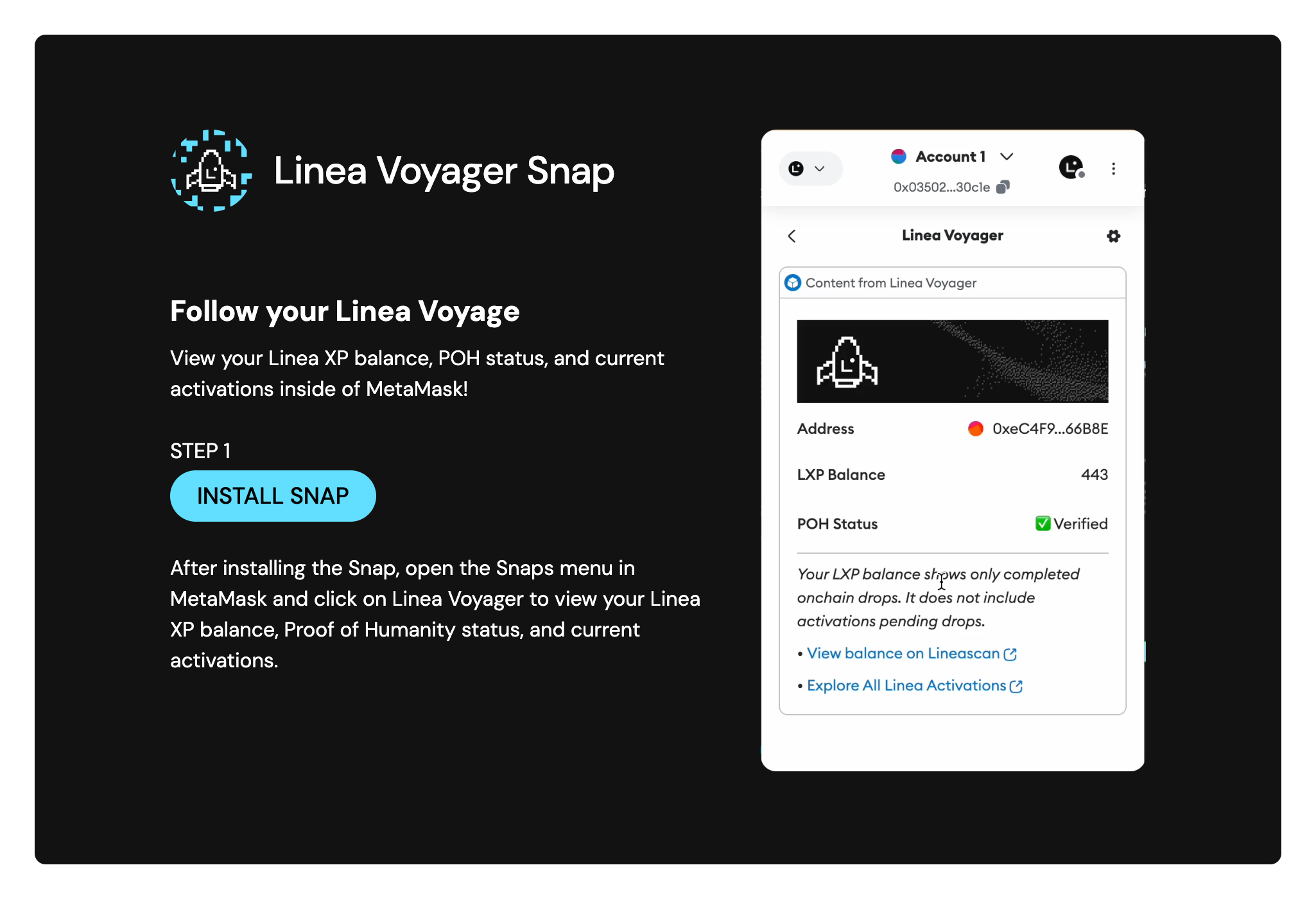 Linea Voyager Snap install button