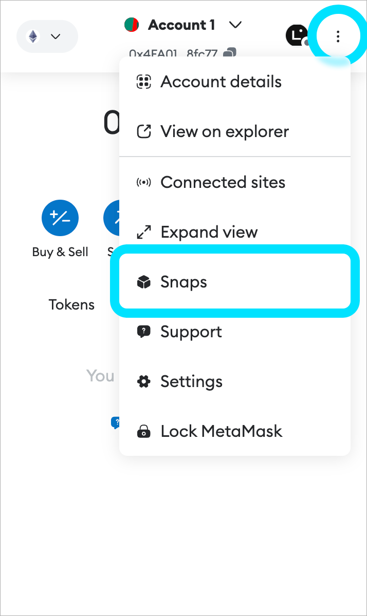 MetaMask Snaps menu